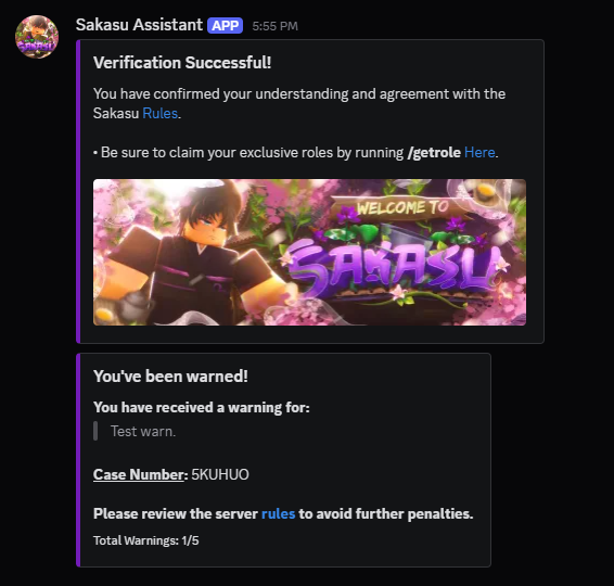 Discord verification warning interface